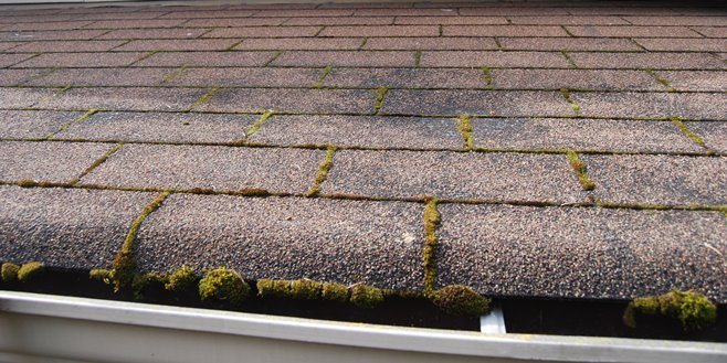 roof repair in Edmonds