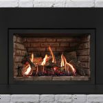 Archgard DVI 31 gas fireplace insert seattle wa
