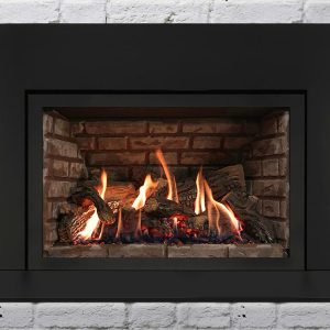 Archgard DVI 31 gas fireplace insert seattle wa