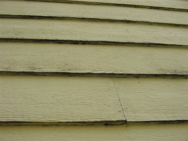 Rot and mold in siding
