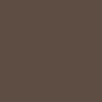 Cocoa Bean Andersen Window trim color