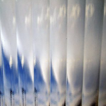 Reed privacy Glass